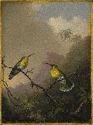 Martin Johnson Heade Two Humming Birds Germany oil painting artist